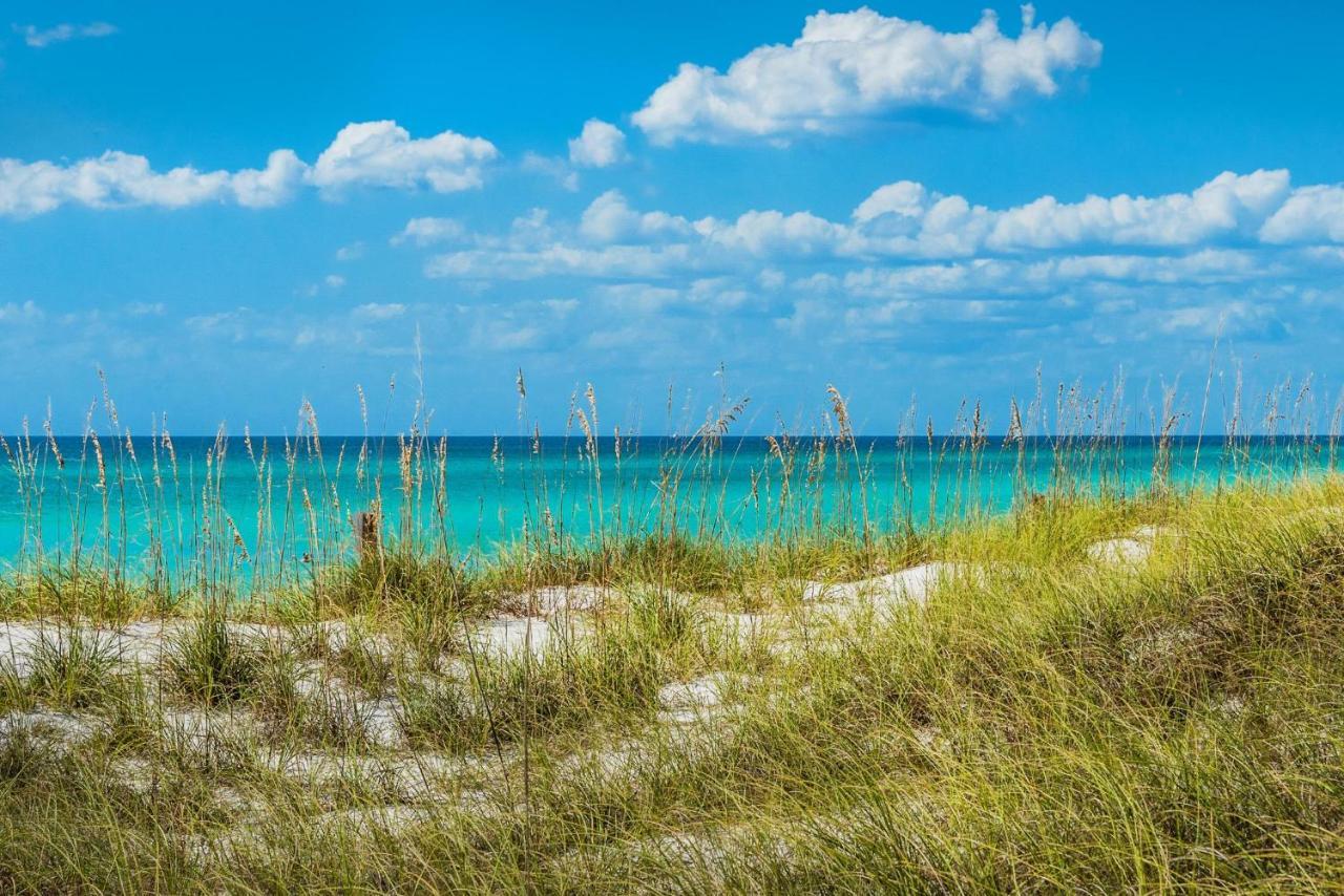 Calypso 2-2304 West Lägenhet Panama City Beach Exteriör bild